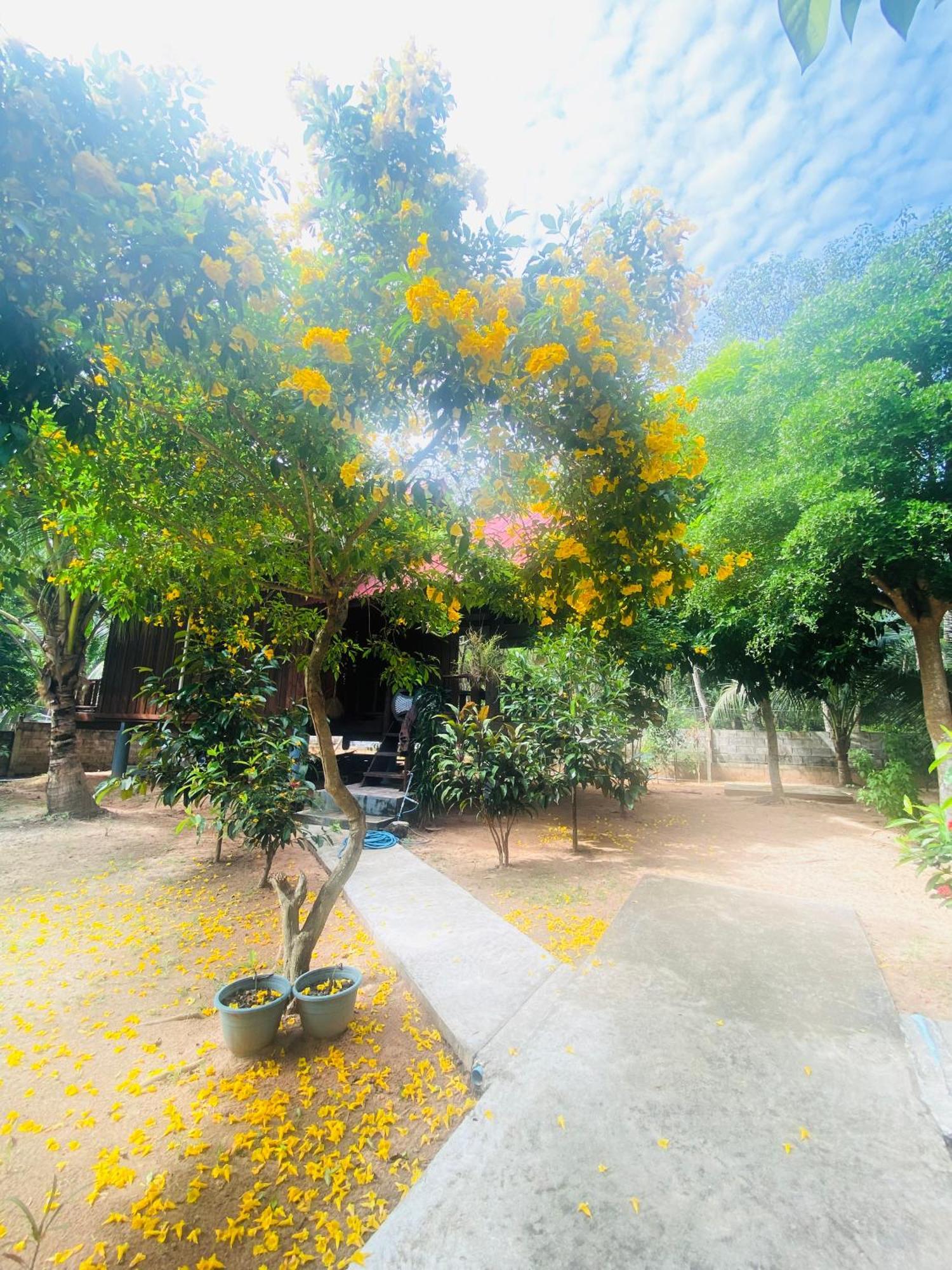 Nadia Resort Kohjum ジュム島 エクステリア 写真